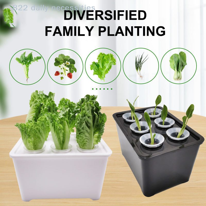 1 Set Hydroponic Seedling Kit  - đánh giá và giá Outdoor Power Kit