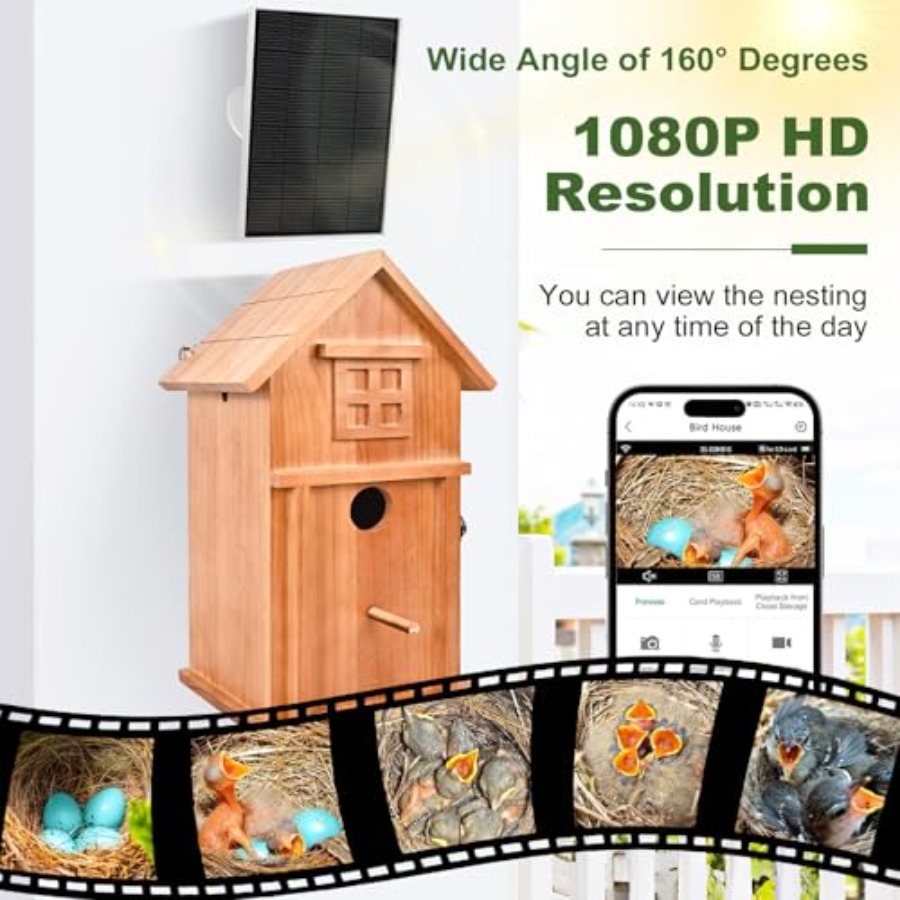 Bird House with Camera Solar P - đánh giá và giá Outdoor Power House